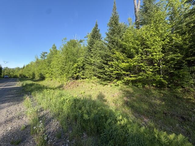 Land in Greenville 5
