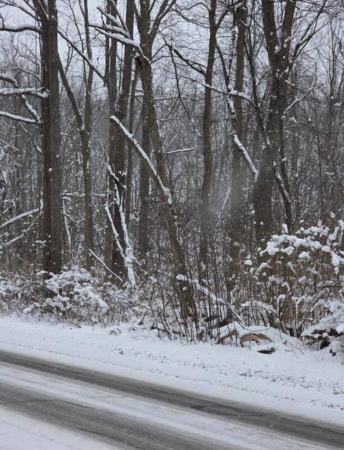 V/L 11th St, Plainwell, MI, 49080 | Card Image