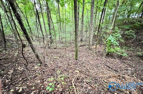 3.78 Acres Flicker Ln, Athens, AL, 35614 | Card Image
