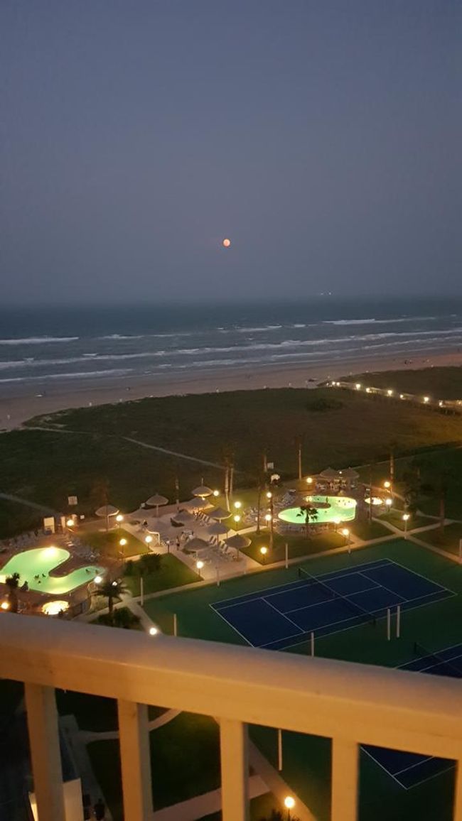 91269127 - 400 Padre Blvd, Condo with 2 bedrooms, 2 bathrooms and null parking in South Padre Island TX | Image 11