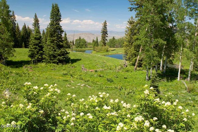 341 Corral Trl, House other with 0 bedrooms, 0 bathrooms and null parking in Silverthorne CO | Image 19