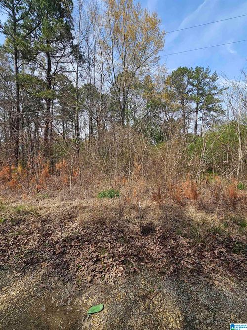 773-LOT 773 Taft Rd, Ashville, AL, 35953 | Card Image