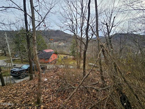 Tbd Ridge Avenue, Appalachia, VA, 24216 | Card Image