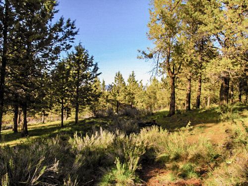 16-0 Pearson Butte Trail, Keno, OR, 97627 | Card Image