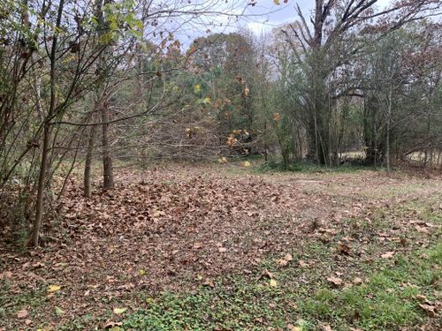 85 Arthur Ln, Hickory Valley, TN, 38042-5151 | Card Image