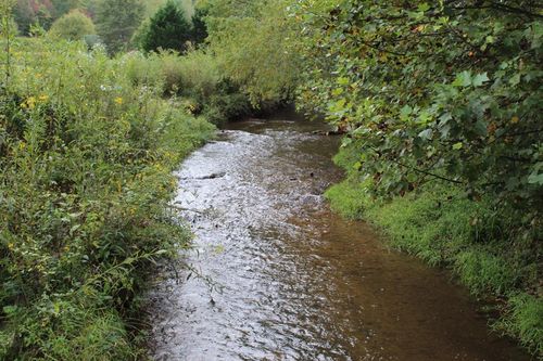 Lot 13 Creekside Acres, Brasstown, NC, 28902 | Card Image