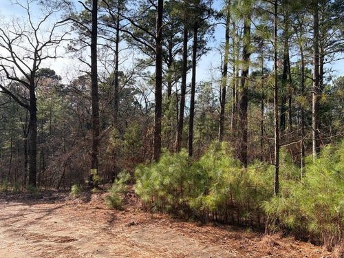 Lots 144 &amp; 145 Silver Oaks Drive, Flint, TX, 75762 | Card Image