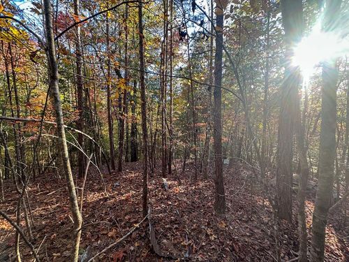 0 Dones Dr, Murphy, NC, 28906 | Card Image