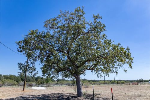131 Spanish Oak Rd, Dale, TX, 78616 | Card Image