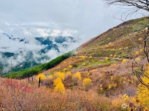 14638 Us Highway 2, Leavenworth, WA, 98826 | Card Image