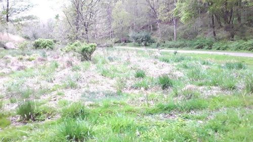 1485 Hollywood Road, Newton, WV, 25266 | Card Image