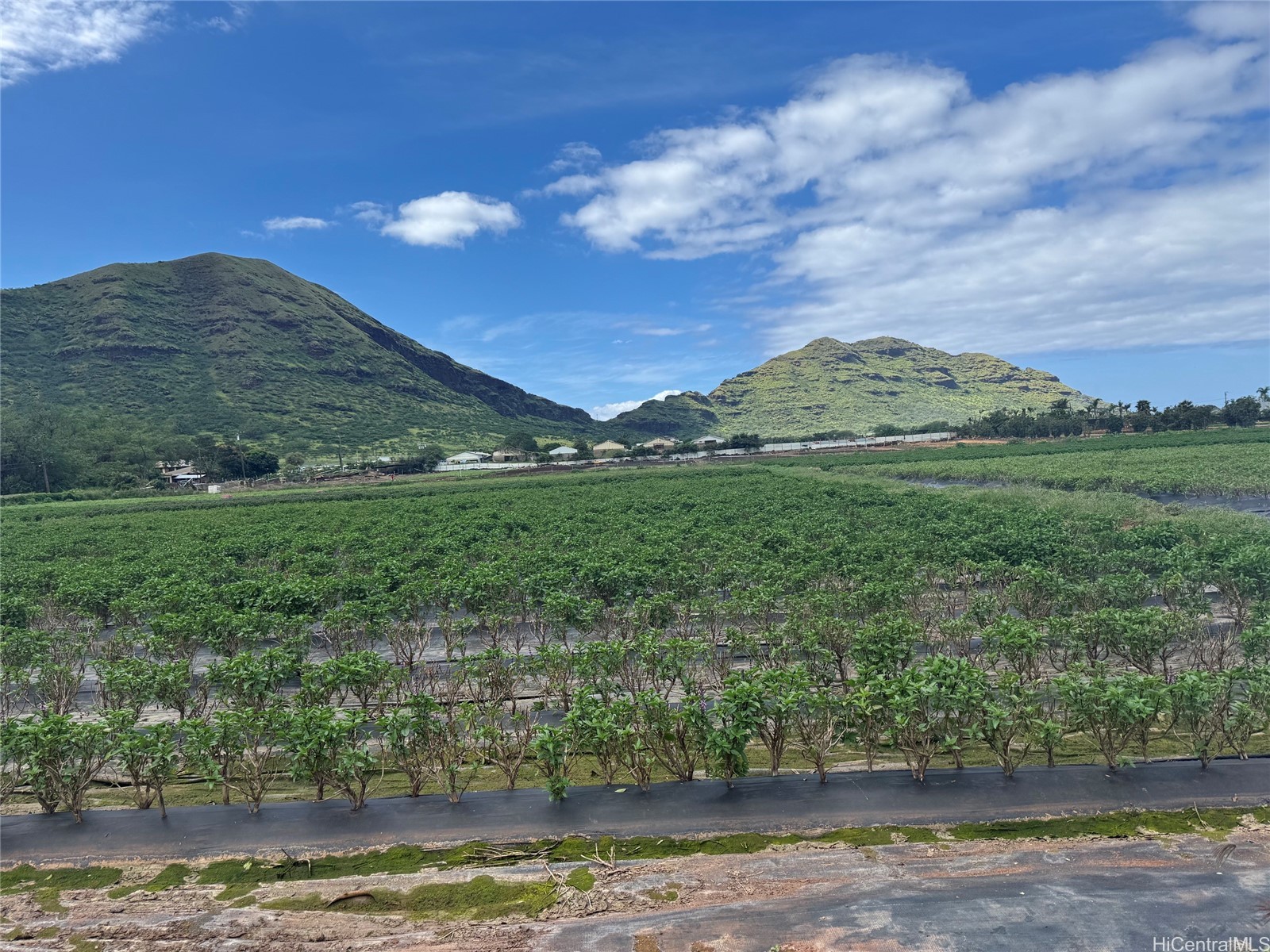 Land in Waianae