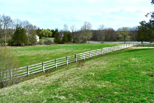 View from the back paddock looking toward the large pasture | Image 34