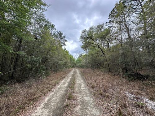 tbd Ne 154th Ave, WILLISTON, FL, 32696 | Card Image