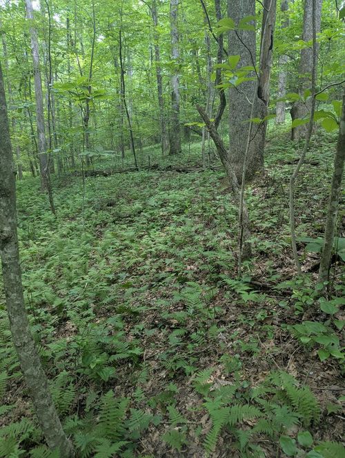 0 Scenic Pl, Monterey, TN, 38574 | Card Image