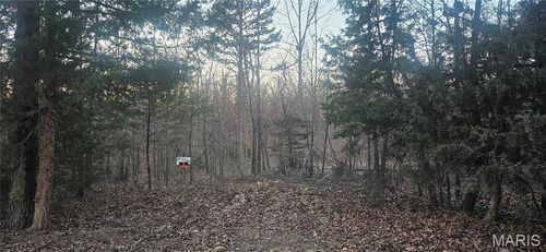 0 County Road 3273, Salem, MO, 65560 | Card Image