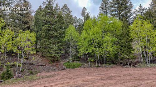 918 Pinon Ln, Florissant, CO, 80816-8920 | Card Image