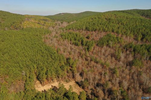 200 AC County Road 651, Piedmont, AL, 36272 | Card Image
