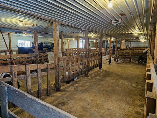 36x108 Calf Barn | Image 55