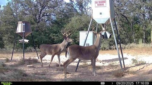 1147 County Road 249, Gonzales, TX, 78629 | Card Image