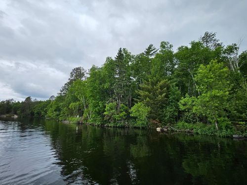 xxx Hinsdale Loop, Cook, MN, 55723 | Card Image