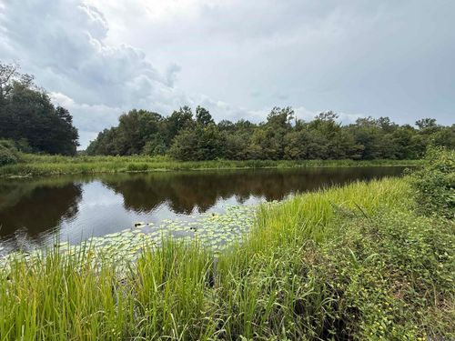 6-Z-1-C Pertuis Rd, St Amant, LA, 70774 | Card Image