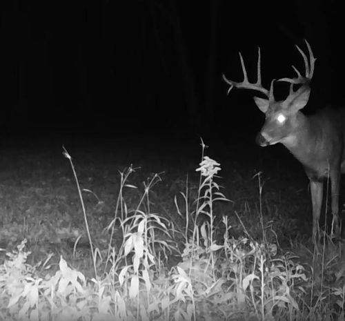 330 330th St, Onamia, MN, 56359 | Card Image