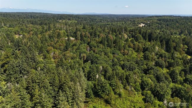 19789 Erickson Rd Sw, Home with 0 bedrooms, 0 bathrooms and null parking in Longbranch WA | Image 4