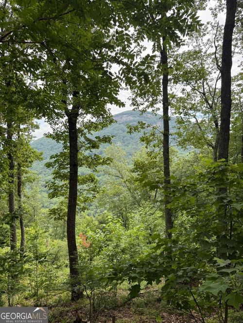 M23 Mountainside Ct, Cleveland, GA, 30528 | Card Image