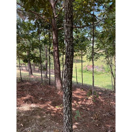 16653 N Star Cir, Sale Creek, TN, 37373-7756 | Card Image