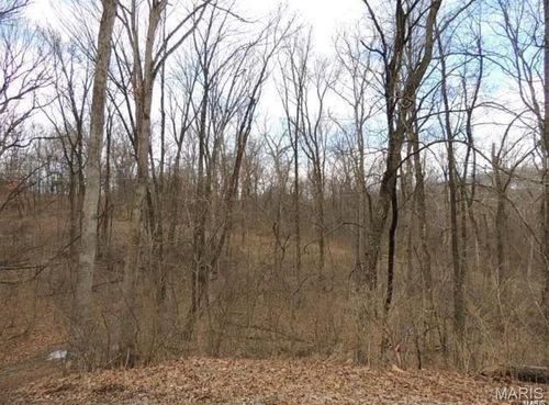 1001 Chesterfield Forest Dr, Wildwood, MO, 63005-4216 | Card Image