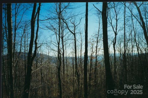 Lot #35 Damselfly Court, Spruce Pine, NC, 28777 | Card Image
