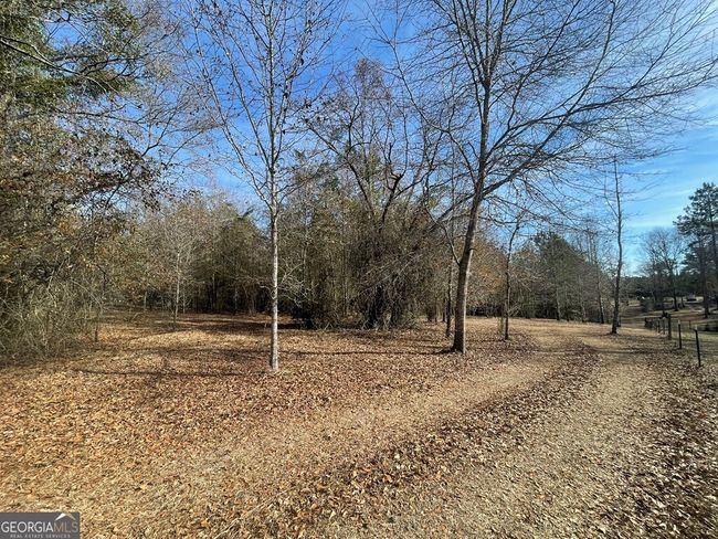 0 Oakland Heights Rd, Home with 0 bedrooms, 0 bathrooms and null parking in Sylvester GA | Image 5