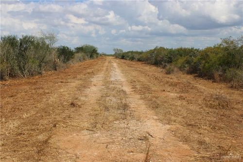0 Highway 339, Concepcion, TX, 78349 | Card Image