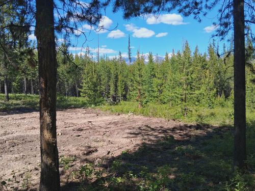 11532 N Fork Rd, Polebridge, MT, 59928 | Card Image