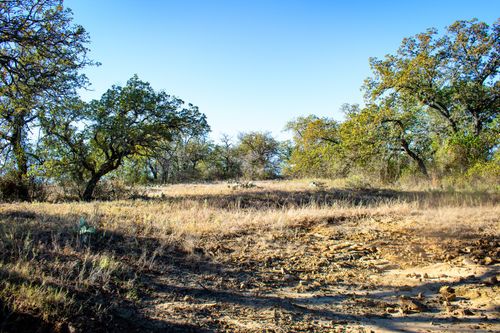 TBD Fm 45, San Saba, TX, 76877 | Card Image