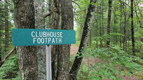 0 Palmer Pl, Grayling, MI, 49738 | Card Image