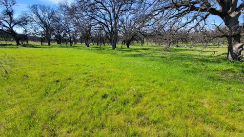 Lot 41 Quail Ridge Rd, Cottonwood, CA, 96022 | Card Image