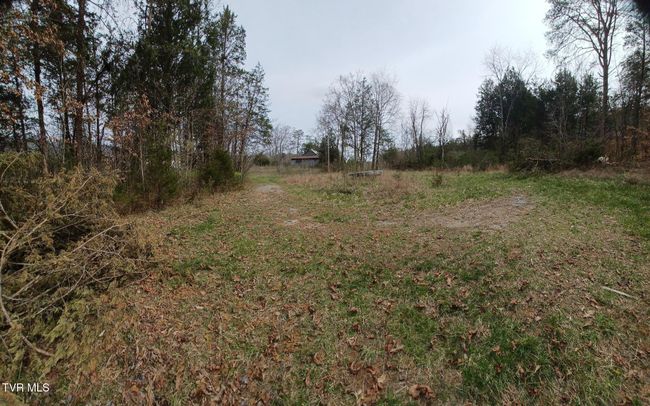 View of Cleared area | Image 5