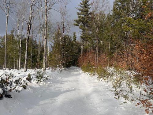 000 Dwinell Road, Troy, NH, 03465 | Card Image