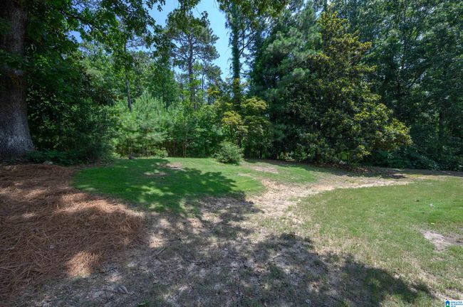 1616 Wingfield Trce, House other with 4 bedrooms, 5 bathrooms and null parking in BIRMINGHAM AL | Image 58
