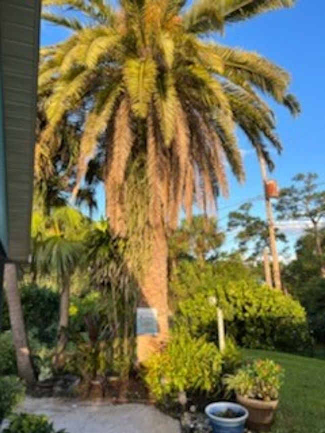 422 Avocado Ave, House other with 3 bedrooms, 2 bathrooms and null parking in SEBASTIAN FL | Image 6