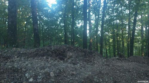 Burnham Mountai E Hwy 8, Glenwood, AR, 71943 | Card Image