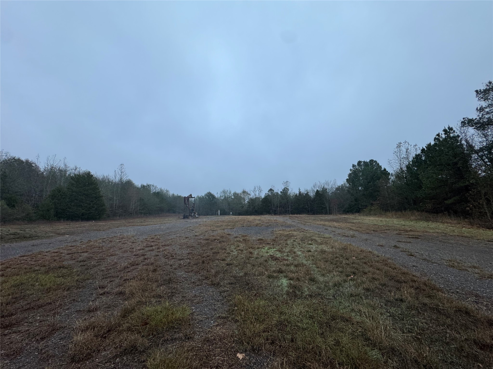 Land in Tyler 4