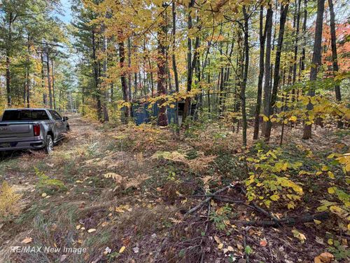 1251 The Trail Road, Mullett Township, MI, 49791 | Card Image