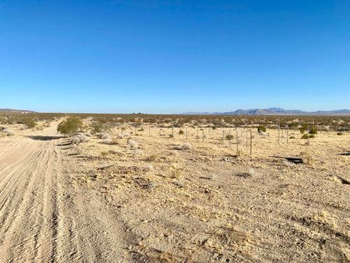 104 Joshua Tree Road, Johnson Valley, CA, 92285 | Card Image