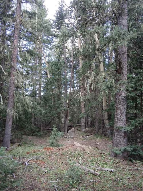 43 Happy Way, Angel Fire, NM, 87710 | Card Image
