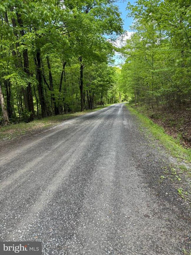 LOT 4 Yost Rd, Home with 0 bedrooms, 0 bathrooms and null parking in New Creek WV | Image 16