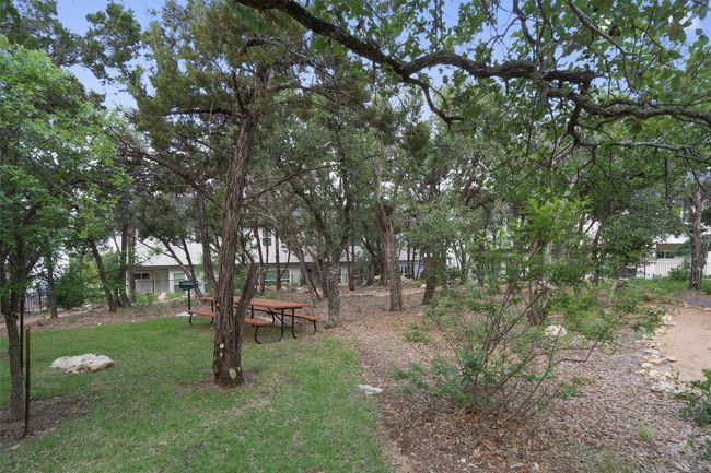 View of green lawn | Image 11