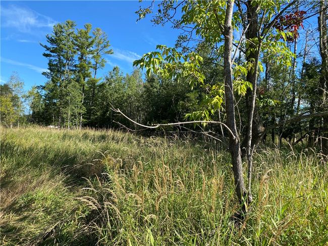 3 7th Street, Home with 0 bedrooms, 0 bathrooms and null parking in Weyerhaeuser WI | Image 5